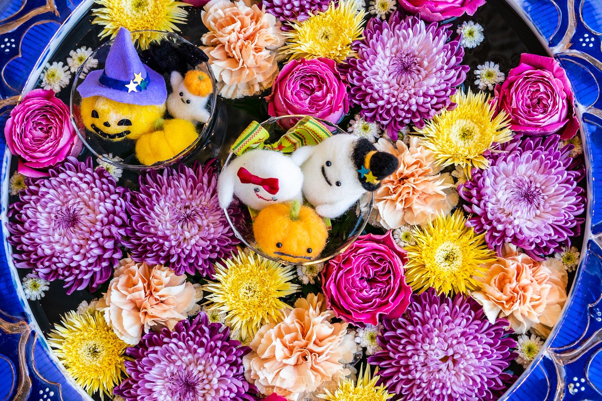 Yuji Shibasaki Photo S Tweet 川越市最明寺のハロウィン花手水 川越 ハロウィン Helloween Trendsmap