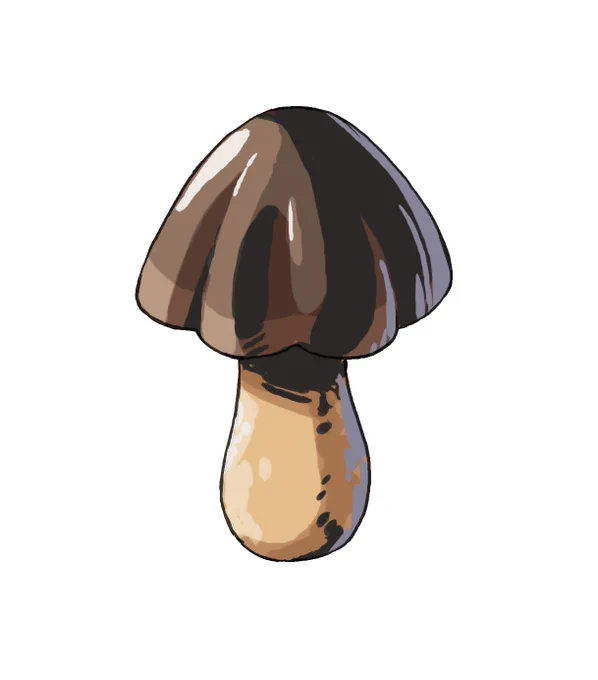 きのこロイド 