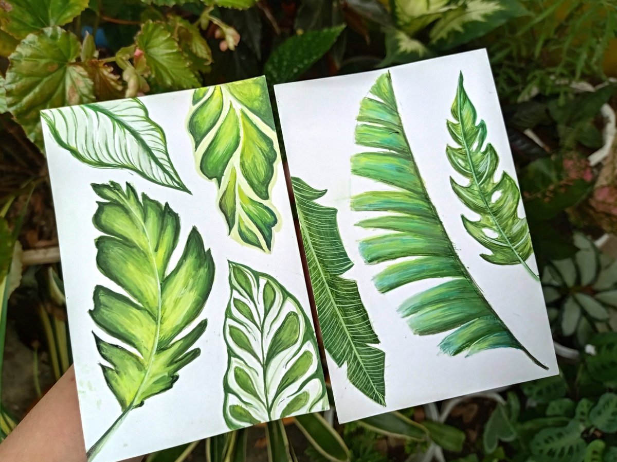 smolmingmong's tweet photo. gouache study leaves 🌿
#artph #gouache https://t.co/vyIg6u657Q