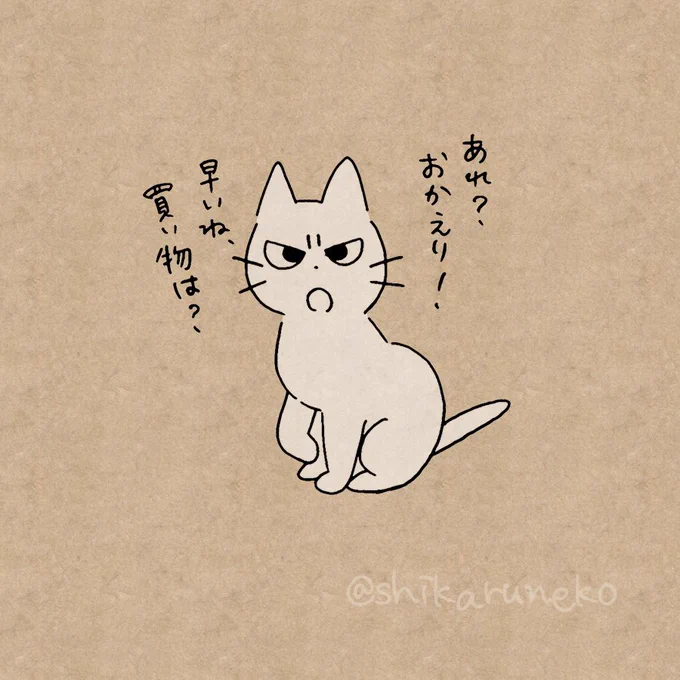 財布を忘れて出かける人を叱ってくれる猫 