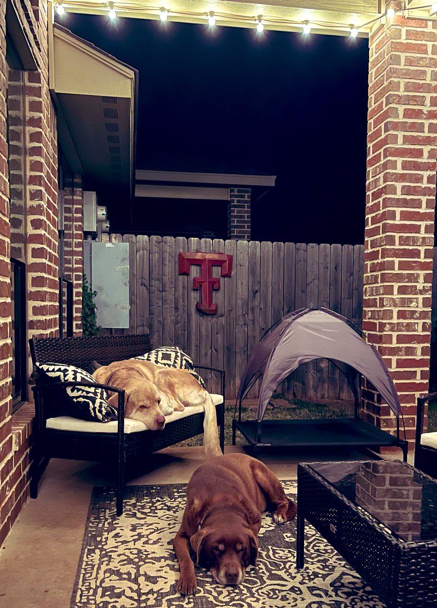 Coco3Barbara's tweet photo. All quiet in the neighborhood❤️
#Fridaynightoff
#nurselife https://t.co/Vu873iLlyR