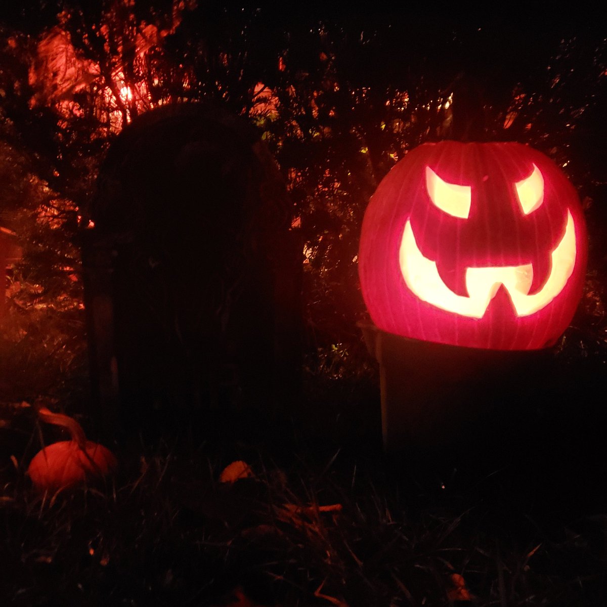 Happy_Cyclops00's tweet photo. Jack-o'-lantern 2021!
#spookyseason #jackolantern #HALLOWEEN https://t.co/uAUSdat9Wo