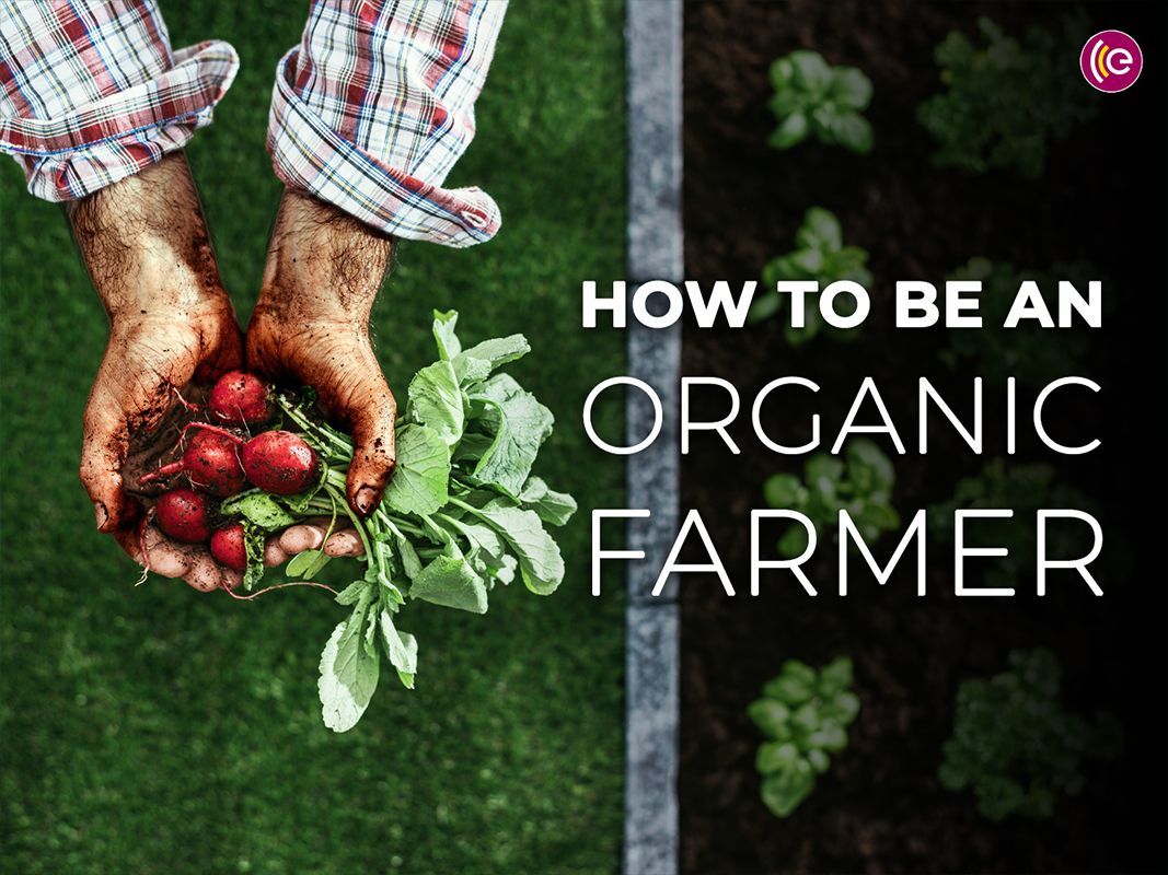 #Permaculture can be applied at any scale, from balcony and backyard growing to #regenerativeagriculture applications, such as a #FoodForest. Learn more about this sustainable approach of farming in this #podcast 👉 buff.ly/3ms4bWL 

#OrganicFarming
