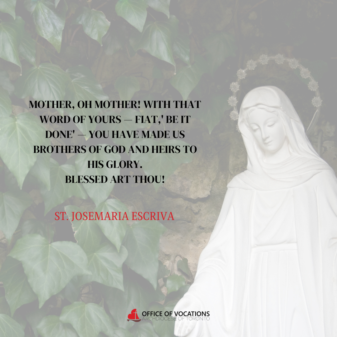 Office of Vocations tweet media