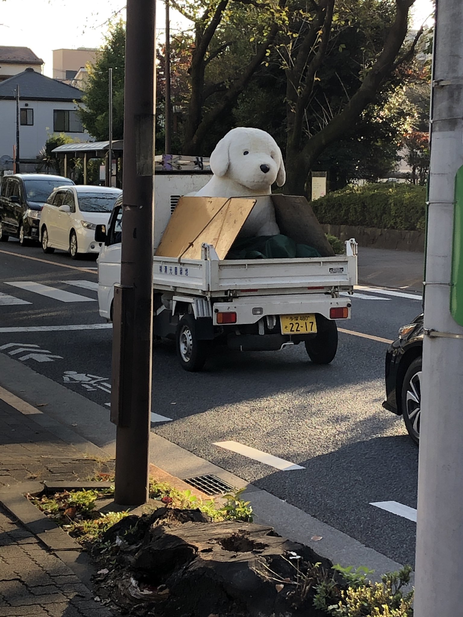 追跡したい 都内の路上であまりに ドナドナ なトラックが目撃されるｗ えのげ
