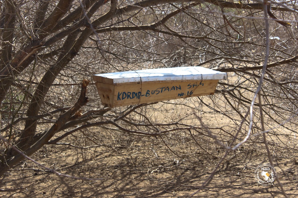 DrdipIgad's tweet photo. Yesterday: DRDIP PIUs from #Djibouti #Ethiopia #Kenya #Uganda and #Somalia concluded a 2-day knowledge exchange and learning visit to sites in Garissa, Kenya.
Delegates assessed progress of #KDRDIP on: Enhancing self-reliance amongst refugee hosting areas through CDD programs. https://t.co/4sAtEXUdLy
