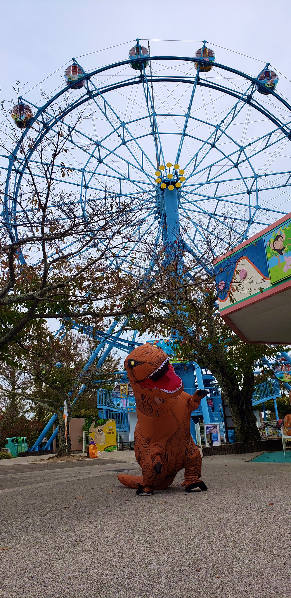 ときわ遊園地 公式 Tokiwa Amuse Twitter