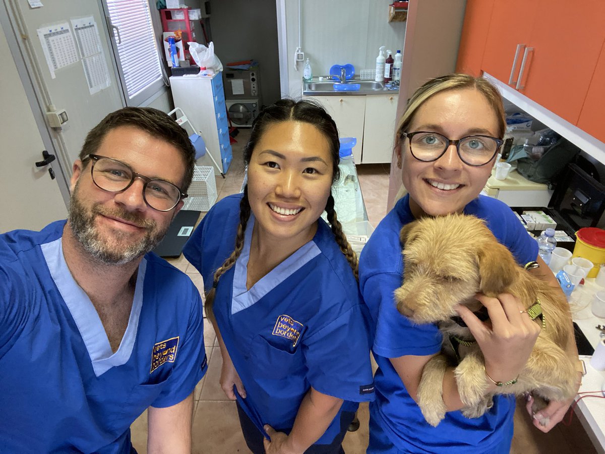 drjgreenwood's tweet photo. Come to the end of our 2 weeks volunteering with @VBBAustralia at the @LidaSezOlbia animal shelter in #Sardinia. We’ve neutered over 100 dogs and cats and made some fab new friends along the way. Thank you team Lida, ci vediamo la prossima volta Xx #vetsbeyondborders #Sardegna https://t.co/bTTCnQr6Eb