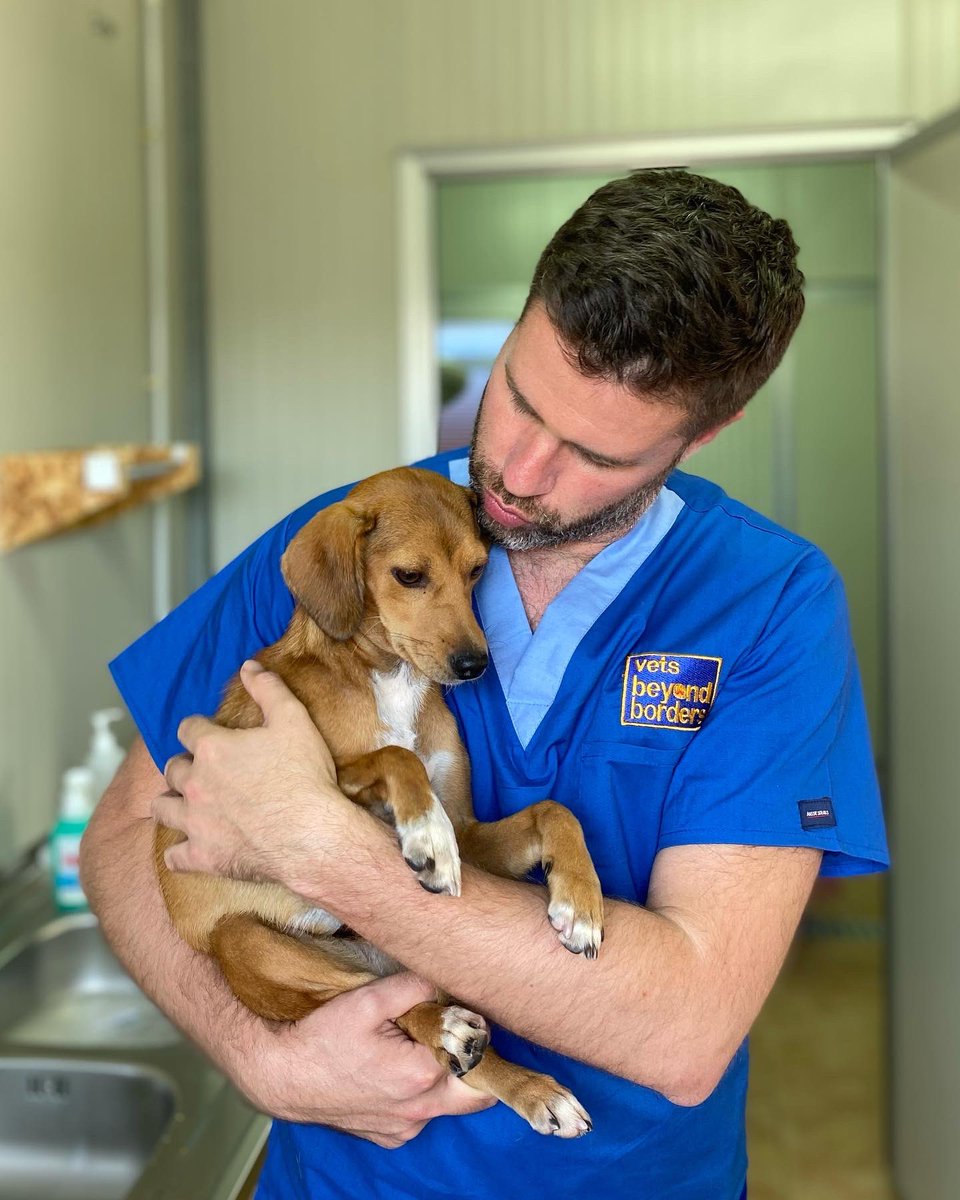 drjgreenwood's tweet photo. Come to the end of our 2 weeks volunteering with @VBBAustralia at the @LidaSezOlbia animal shelter in #Sardinia. We’ve neutered over 100 dogs and cats and made some fab new friends along the way. Thank you team Lida, ci vediamo la prossima volta Xx #vetsbeyondborders #Sardegna https://t.co/bTTCnQr6Eb