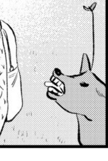 お気に入り 