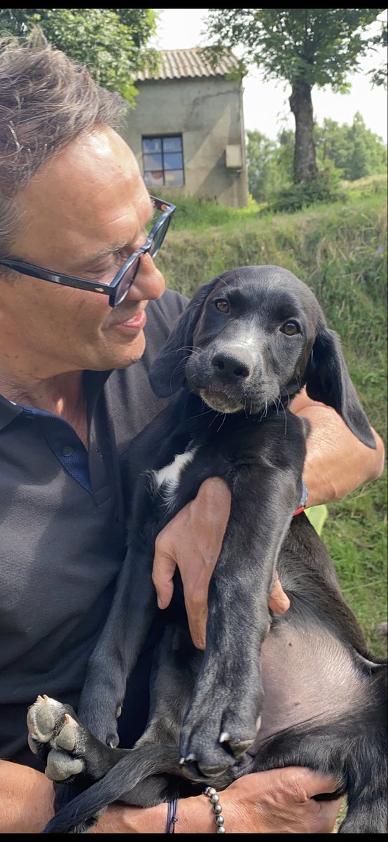 courbet_julien's tweet image. Et si ce week end était le week end de l’amour pour les animaux , plus de câlins , on en mange un peu moins , on laisse un message sympa sur les réseaux aux bénévoles qui se battent pour les sauver … #protectionanimale #animaux #simonelechien