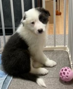 ryou1115 tweet media