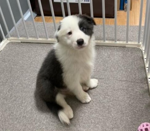 ryou1115 tweet media