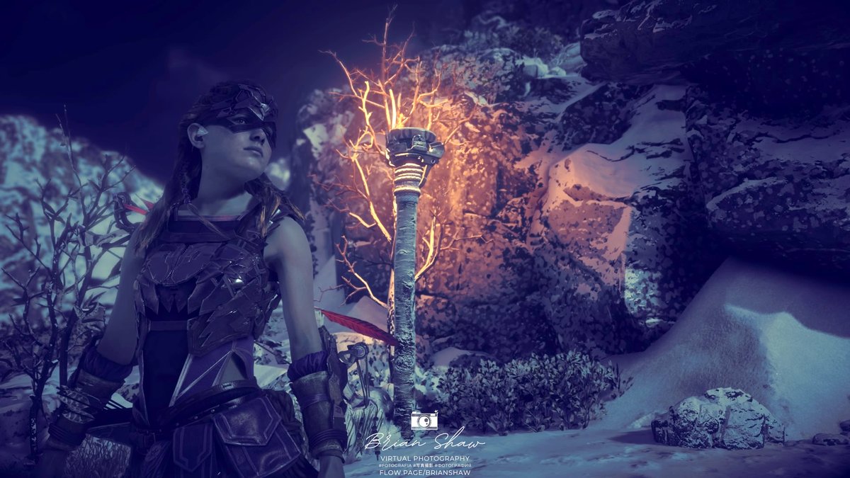 Brian Shaw ✮ tweet media