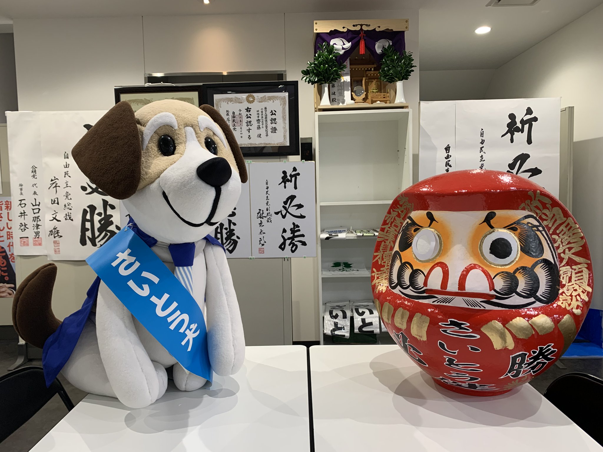 こねこのチー : テレビ東京 Forスゴ得