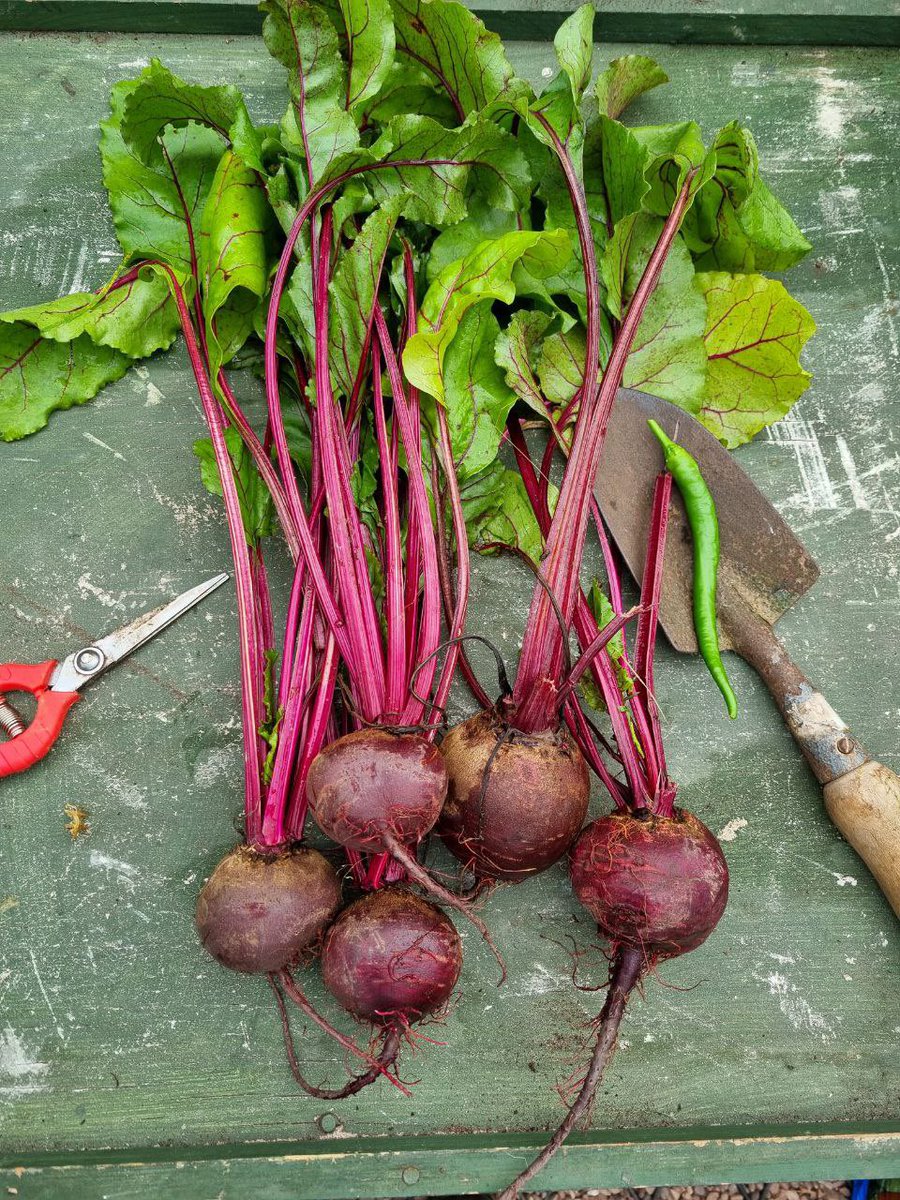 Diversification locally grown food to enjoy #smallholder #vegtables