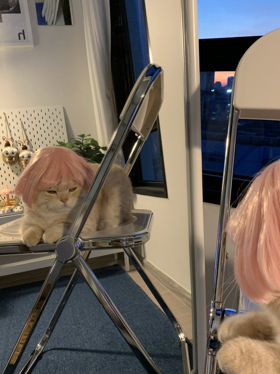 บีมกับน้องๆ tweet media