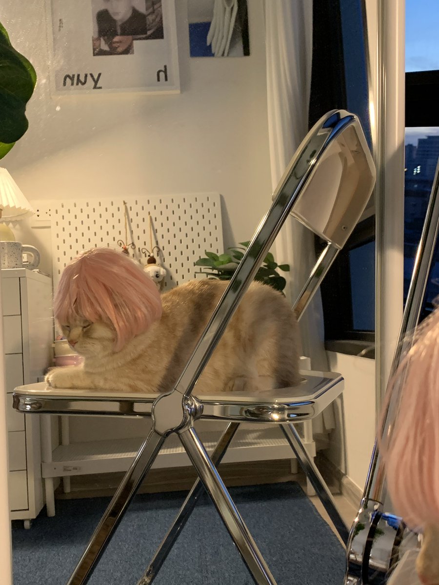 บีมกับน้องๆ tweet media