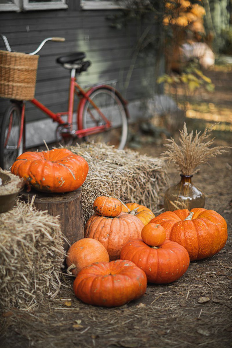 Happy Halloween dear friends🎃👻🎃👻

#HappyHalloween 🎃 #HalloweenWeekend 👻 #AutumnFalls 🍂🍁 #SaturdayVibes 🌼 #CoffeeLovers ☕️