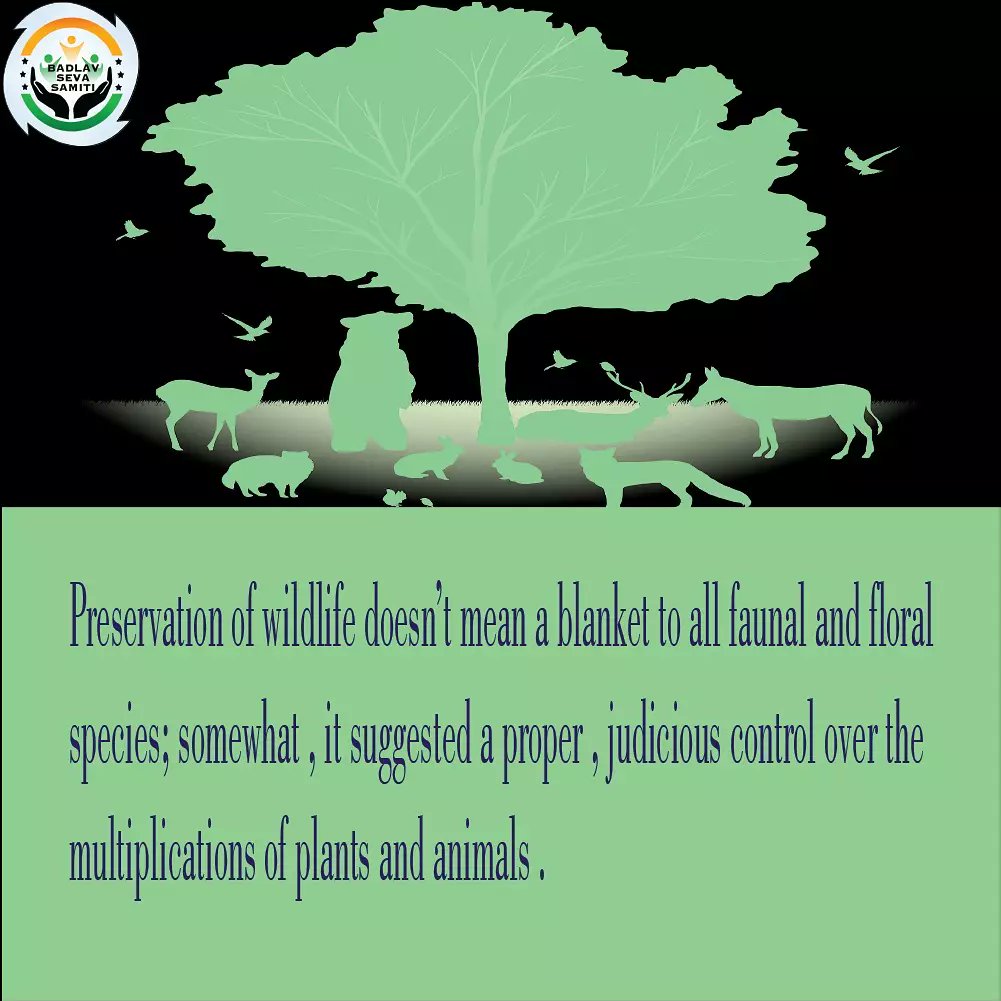 sam_hi26's tweet photo. Animals must be protected because they’re supposed to be more sensitive, aware and intelligent, amazing and beautiful. 

#protectanimals #badlavsevasamiti https://t.co/Axh1Ns8OQQ