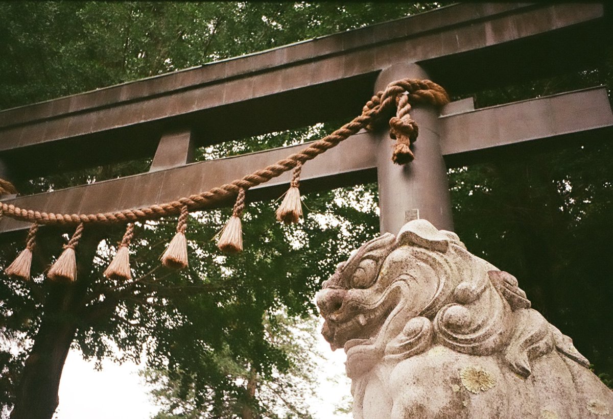 Tabibito_Taka's tweet photo. 撮り溜めた写真
諏訪大社4社巡り
オリンパス PEN EF #Kodakgold200 #OLYMPUS #PENEF #halfcamera #諏訪大社 #film #filmphotography #写真好きな人と繋がりたい #写真 #寫眞 #フィルムカメラ #フィルム写真 https://t.co/ySkpoT7Q6h
