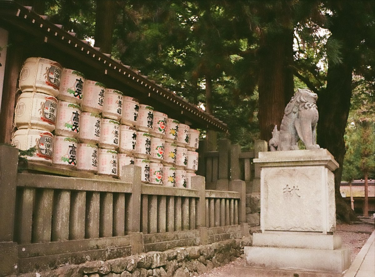 Tabibito_Taka's tweet photo. 撮り溜めた写真
諏訪大社4社巡り
オリンパス PEN EF #Kodakgold200 #OLYMPUS #PENEF #halfcamera #諏訪大社 #film #filmphotography #写真好きな人と繋がりたい #写真 #寫眞 #フィルムカメラ #フィルム写真 https://t.co/ySkpoT7Q6h
