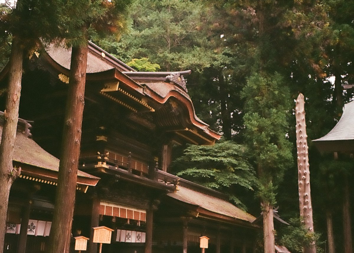Tabibito_Taka's tweet photo. 撮り溜めた写真
諏訪大社4社巡り
オリンパス PEN EF #Kodakgold200 #OLYMPUS #PENEF #halfcamera #諏訪大社 #film #filmphotography #写真好きな人と繋がりたい #写真 #寫眞 #フィルムカメラ #フィルム写真 https://t.co/ySkpoT7Q6h