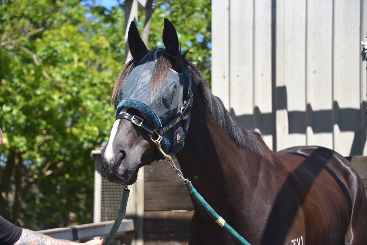 Jason Miller Racing tweet media