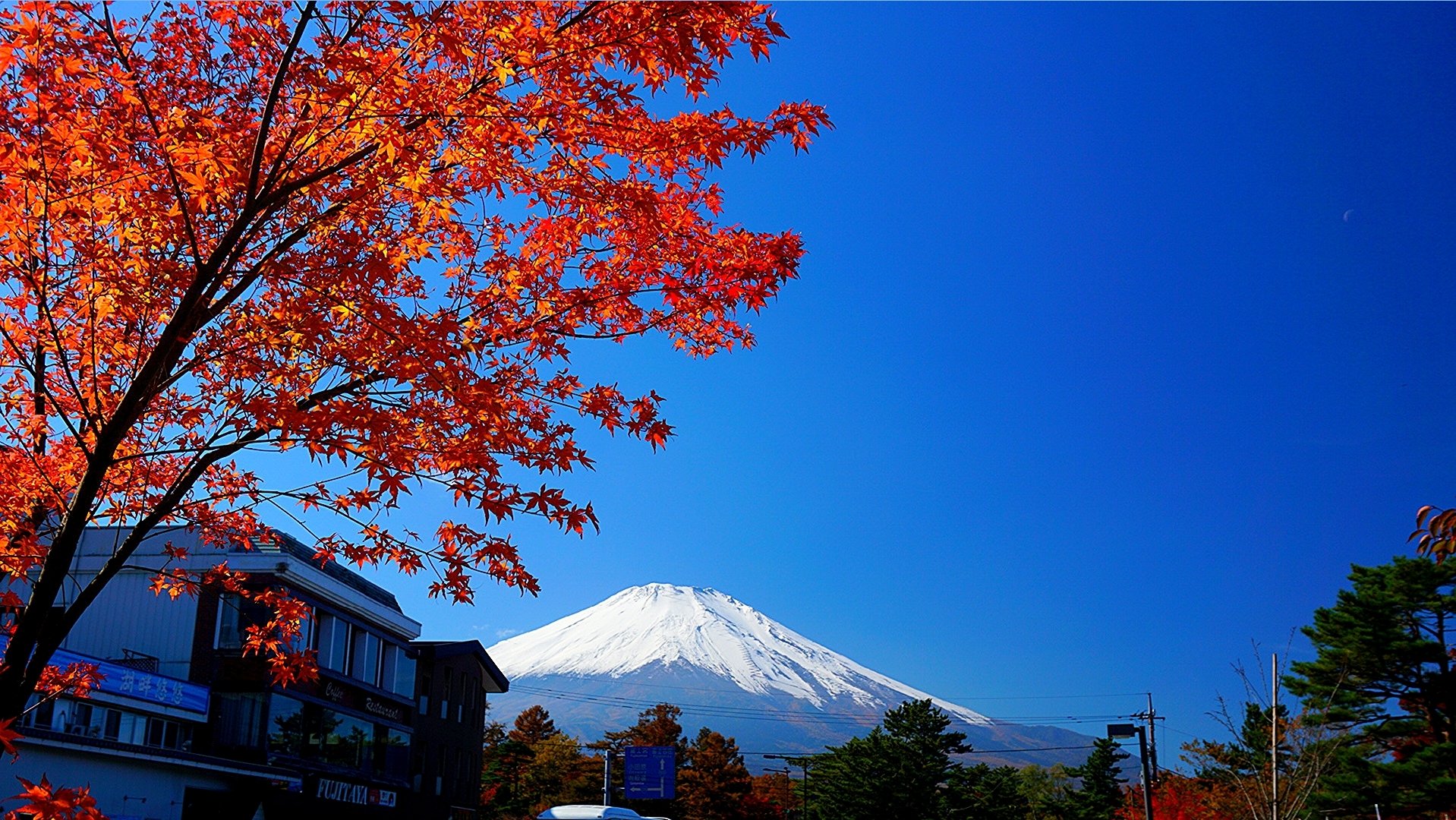 Akinori 10月中の紅葉狩りは人生初です いつもは11月w 今回は 山中湖に行ってまいりました 撮影日 21 10 30 ファインダー越しの私の世界 写真で伝えたい私の世界 写真好きな人と繋がりたい Photography キリトリセカイ 紅葉 秋 山中湖