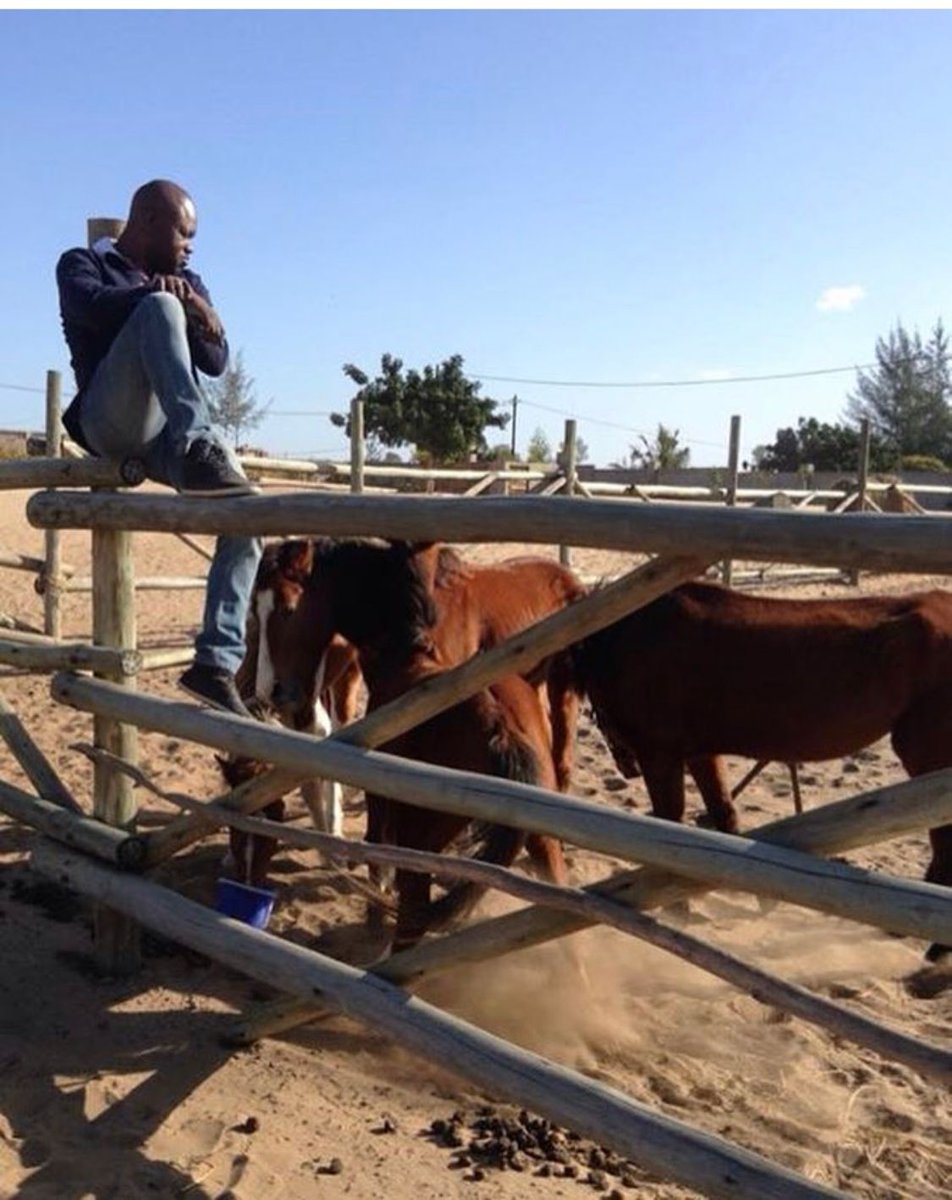 Nada caí do céu. É preciso aceitar a realidade e trabalhar arduamente para alcançares o sucesso. Vá em frente, tu és capaz!

#GM