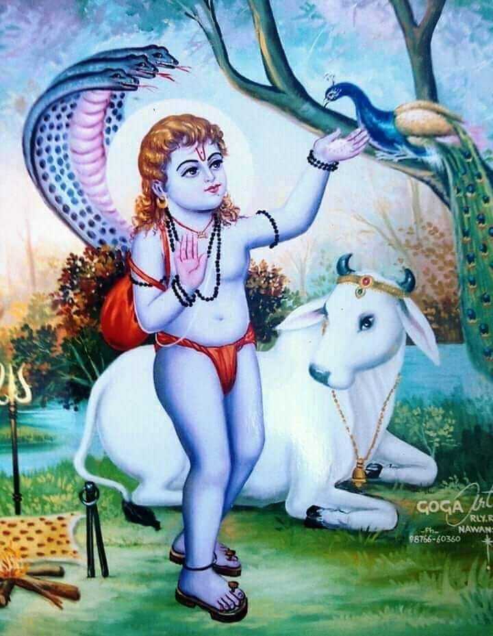 Ranvijay Singh🇮🇳 on Twitter: Ranvijay Singh🇮🇳 on Twitter: