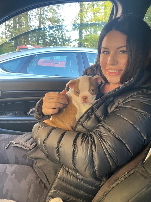 I gots a new puppy🥰😌 Lunar will meet her tomorrow 💘 https://t.co/ka3eZWFl1f