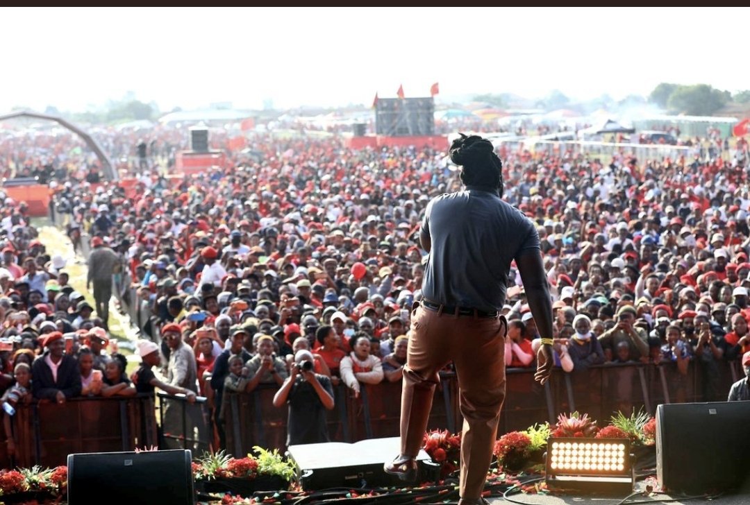 Mzwanele Manyi MP tweet media