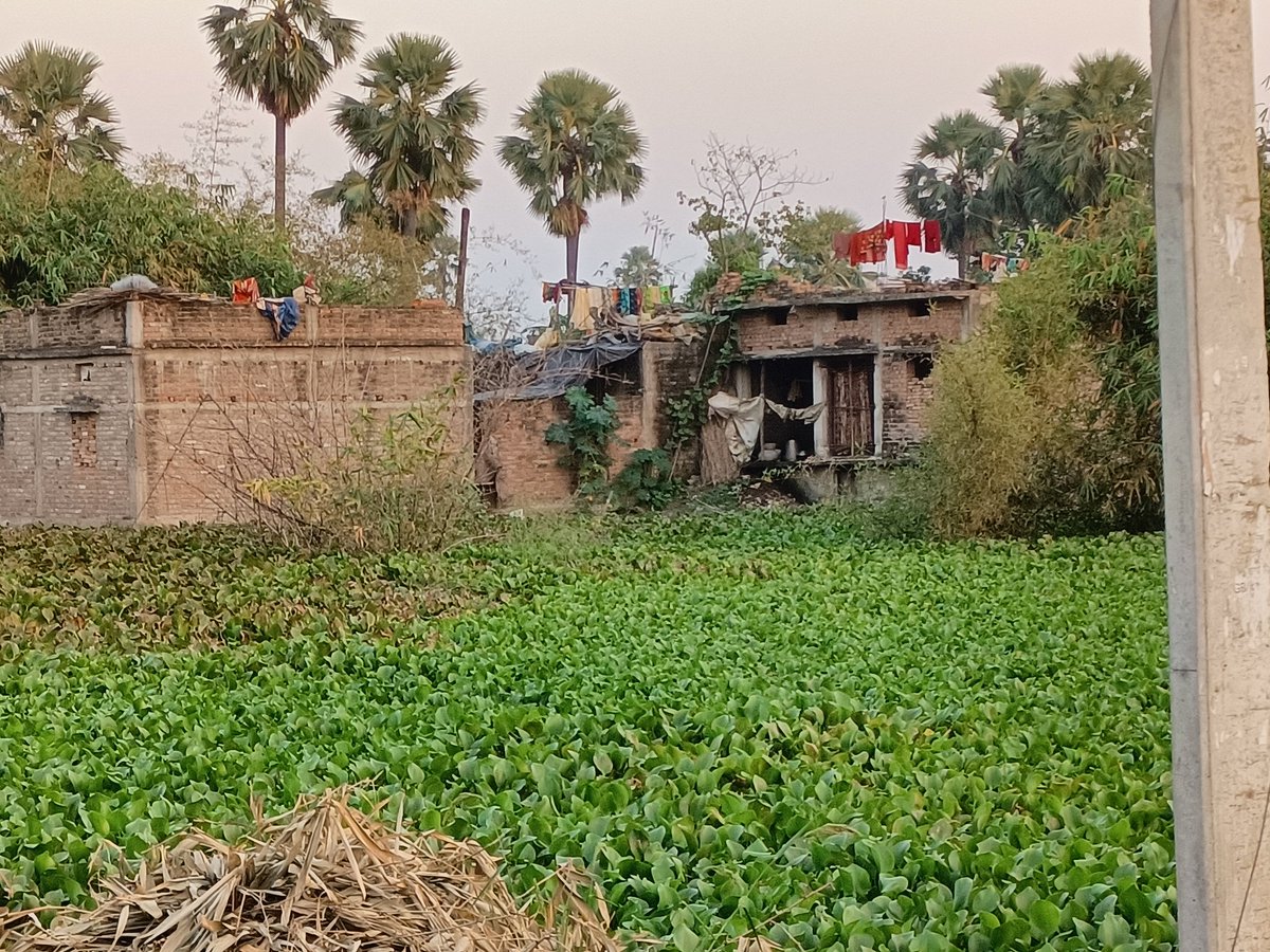 chauhan_sand01's tweet photo. @Saran_dm निवेदनपूर्वक कहना है कि हमारे गांव-मंगरपाल नूरन, पंचायत राज-मंगरपाल, प्रखंड-दरियापुर है जहाँ कुछ लोगों के द्वारा आम गैरमजरूआ गढ्ढा के मुहाने को बंद कर दिया है जिससे बारिश का पानी मई 2021 से ही सारे लोगो के घर और रोड पर लगा है जिससे लोगो को बहुत परेशानी हो रहा है। https://t.co/Ac4AzgqSMO