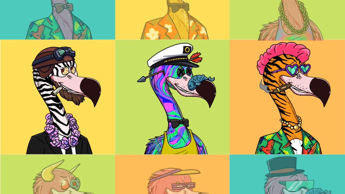 Flash_Mingo | Flashy Flamingos tweet media