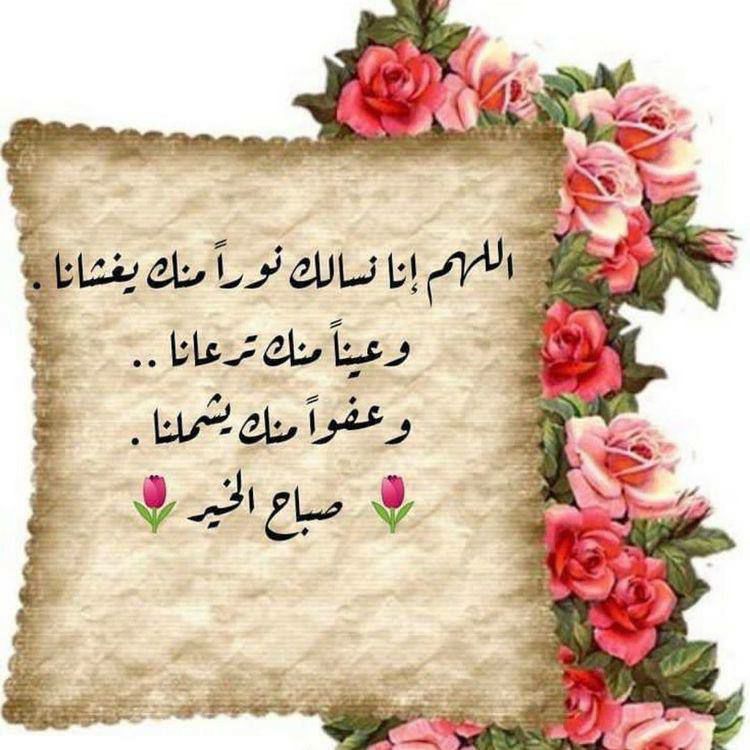 Yana00gmailcom1's tweet photo. @abo_torke_2020 آمين يا رب العالمين https://t.co/u8yyM0ikPV