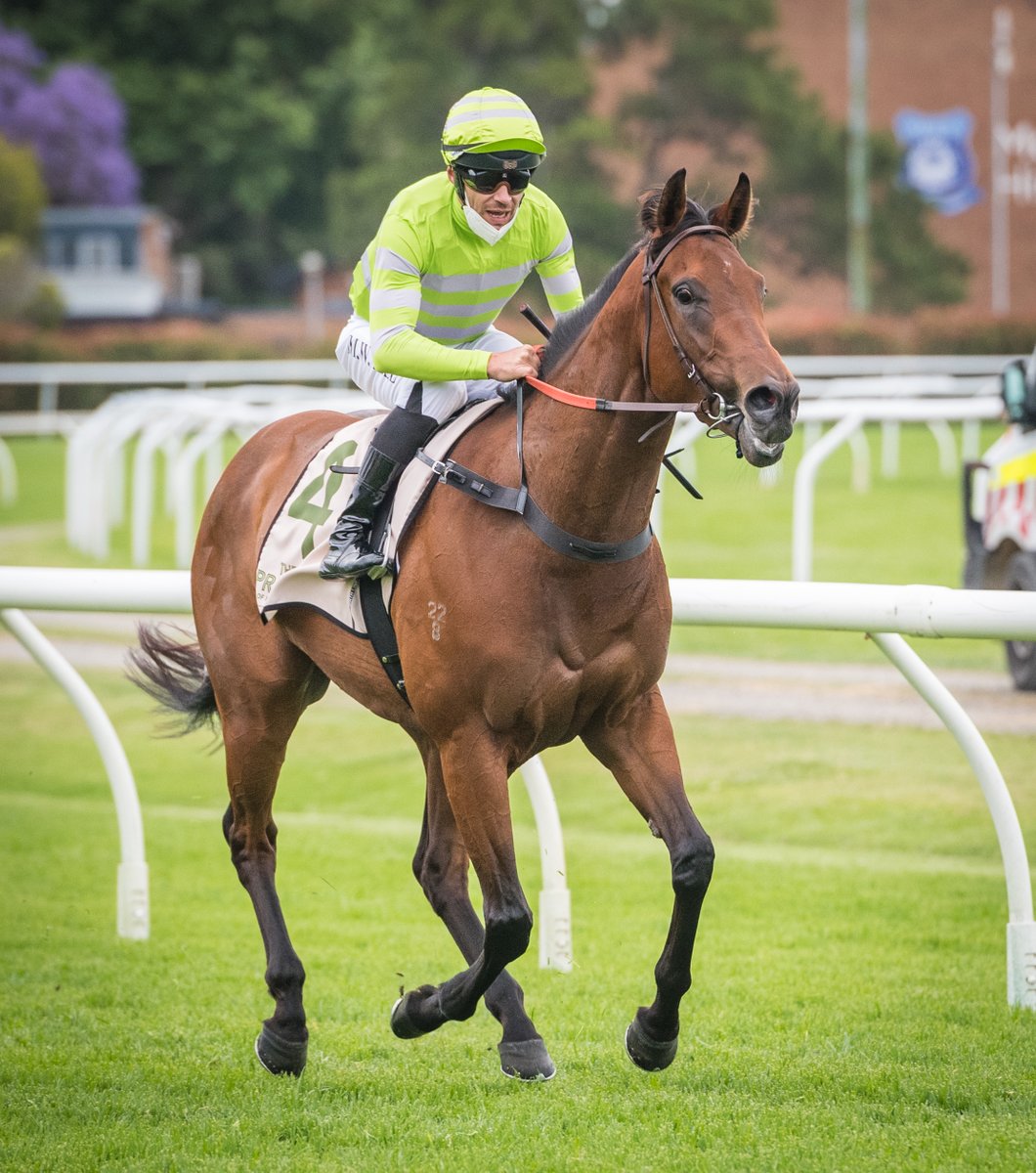 newcastleraces_'s tweet photo. AUTHENTIC JEWEL (@Mitchwbell26 for @BWiddupRacing) scorched turf in R7 Bella Group Services Cl 1 Hcp (900m) in #classrecord time. 2nd Greenheart (D Gibbons), 3rd In Spades (A Morgan), 4th Optimo (R Hutchings). RT 0:50.87 (last 600m in 32.41). Margins 3.75L x 1/2 neck. https://t.co/4iMGLVP8p9