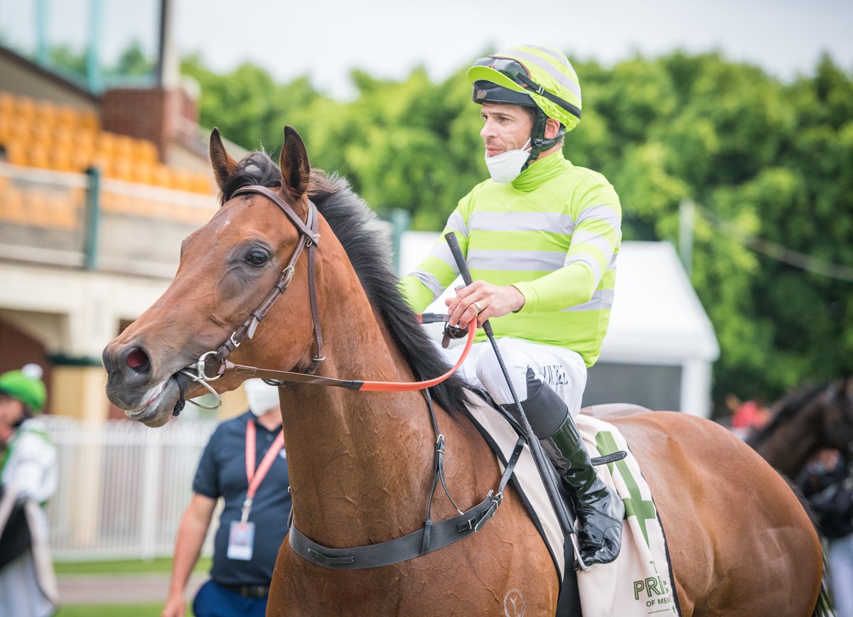 newcastleraces_'s tweet photo. AUTHENTIC JEWEL (@Mitchwbell26 for @BWiddupRacing) scorched turf in R7 Bella Group Services Cl 1 Hcp (900m) in #classrecord time. 2nd Greenheart (D Gibbons), 3rd In Spades (A Morgan), 4th Optimo (R Hutchings). RT 0:50.87 (last 600m in 32.41). Margins 3.75L x 1/2 neck. https://t.co/4iMGLVP8p9
