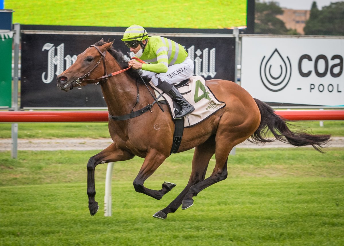 newcastleraces_'s tweet photo. AUTHENTIC JEWEL (@Mitchwbell26 for @BWiddupRacing) scorched turf in R7 Bella Group Services Cl 1 Hcp (900m) in #classrecord time. 2nd Greenheart (D Gibbons), 3rd In Spades (A Morgan), 4th Optimo (R Hutchings). RT 0:50.87 (last 600m in 32.41). Margins 3.75L x 1/2 neck. https://t.co/4iMGLVP8p9