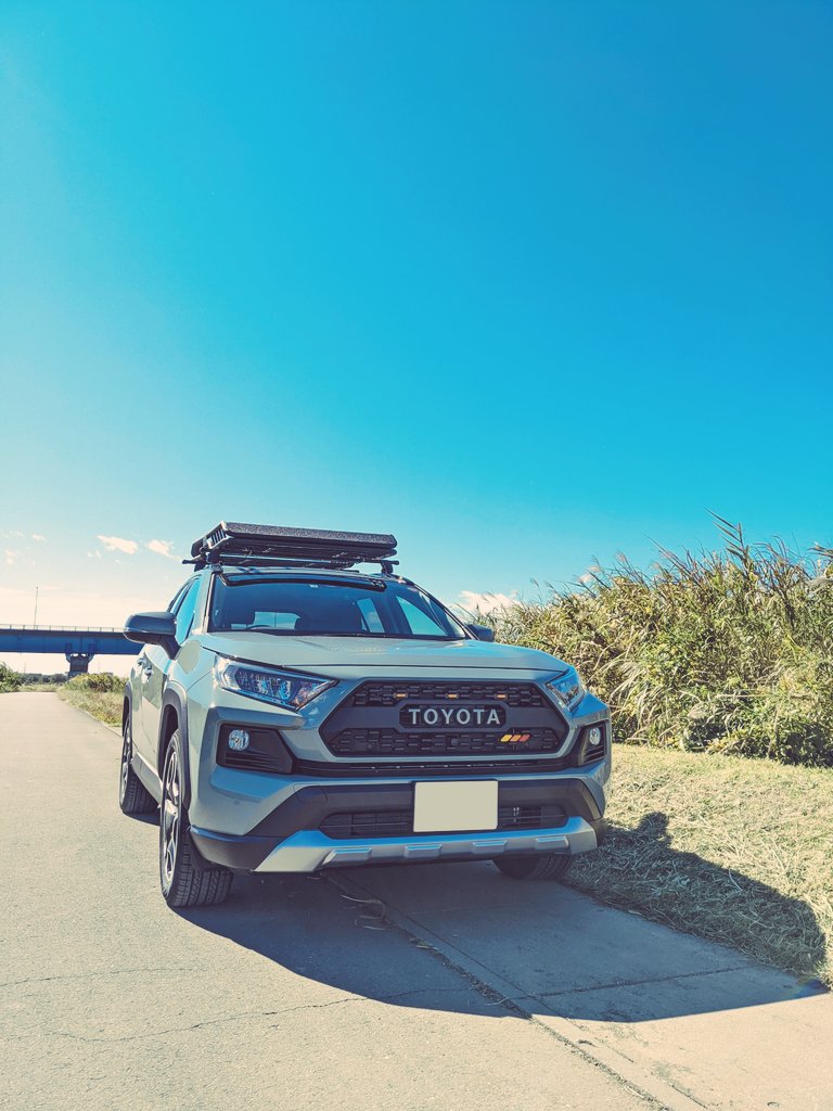 RAV4 タコマ風グリル | veranstaltungen.lkz.de