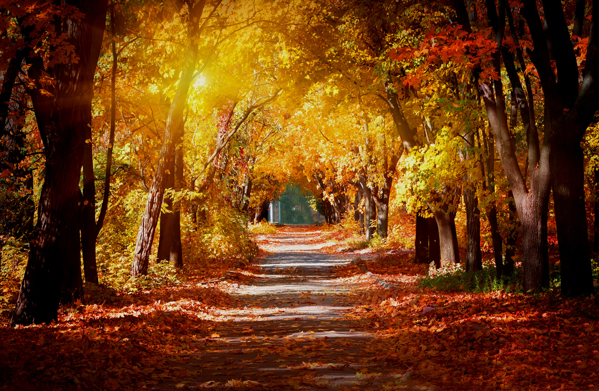#Prayer of the day:

Grant us, O Lord, to pass this day in gladness and peace, without stumbling and without stain, that reaching the day’s end victorious over all temptation, we may again praise you, the eternal God

ow.ly/g5lY50GBbAN
