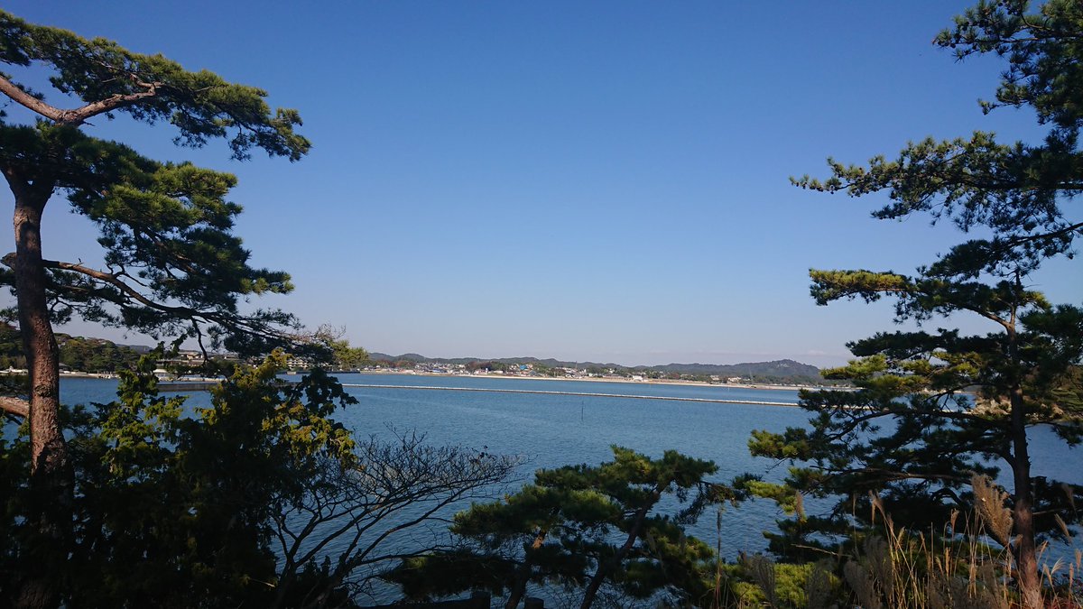 2億年ぶりくらいに松島きた