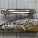 やばいバレッタ作成を検討中。需要あるかな…？