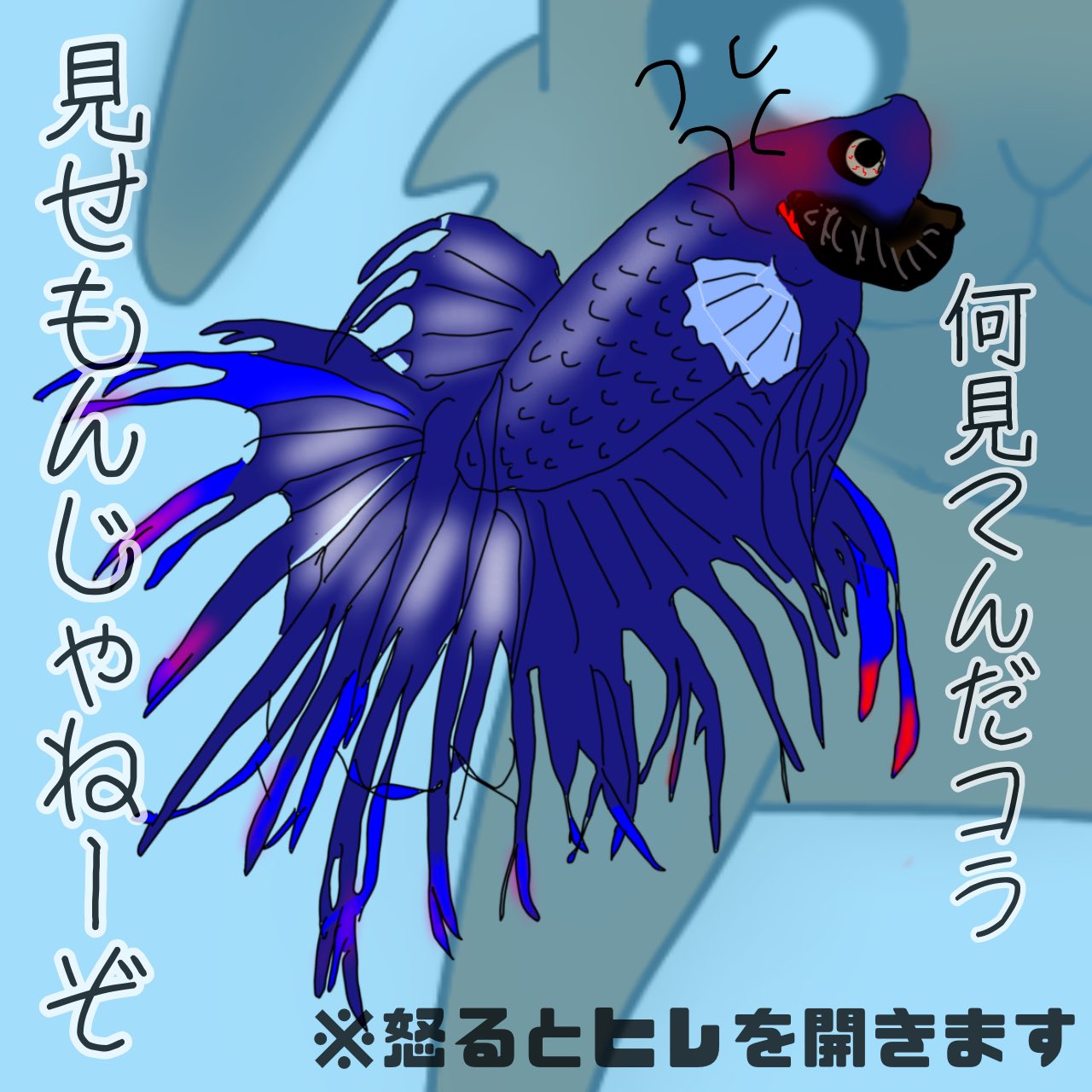 瑠華 ルカ はベタ 弱ったベタの記録アカ Getwellrukasoon Twitter