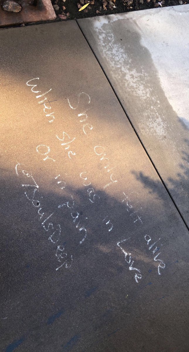 ches 💫 tweet media