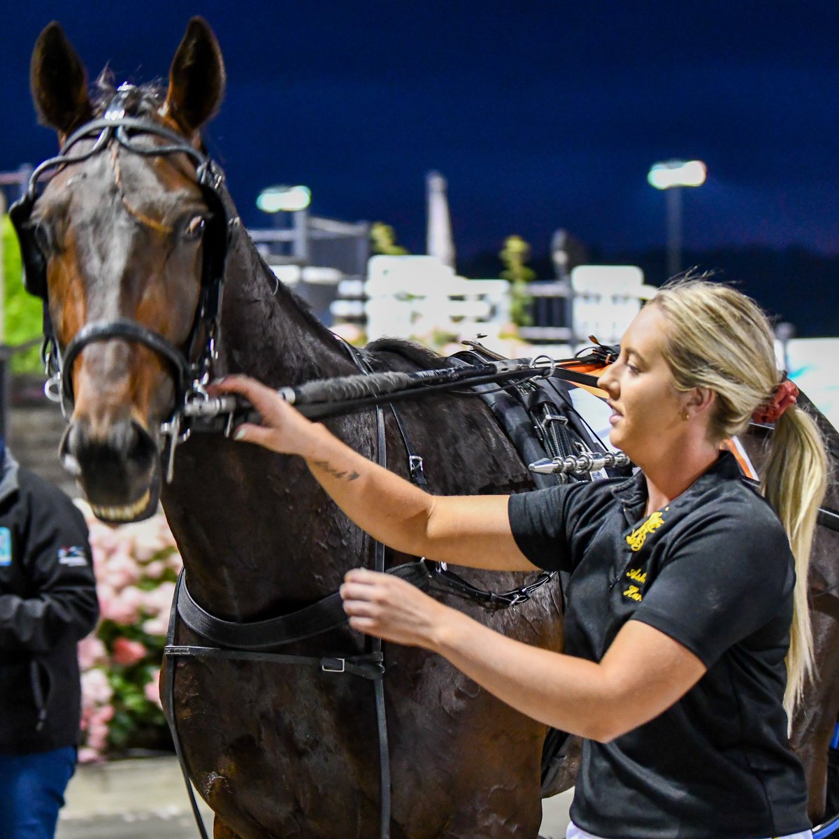 ClubMenangle's tweet photo. Bar Room Banta takes out the first group one of the evening, the 𝗡𝗦𝗪 𝗕𝗿𝗲𝗲𝗱𝗲𝗿𝘀 𝗖𝗵𝗮𝗹𝗹𝗲𝗻𝗴𝗲 𝟯𝗬𝗢 𝗖&amp;𝗚 𝗙𝗶𝗻𝗮𝗹.

Under the guidance of Luke McCarthy the colt sat outside Titian Raider before powering to victory in a rate of 1.50.7 for trainer Michael Stanley. https://t.co/ND2q6a8pFO