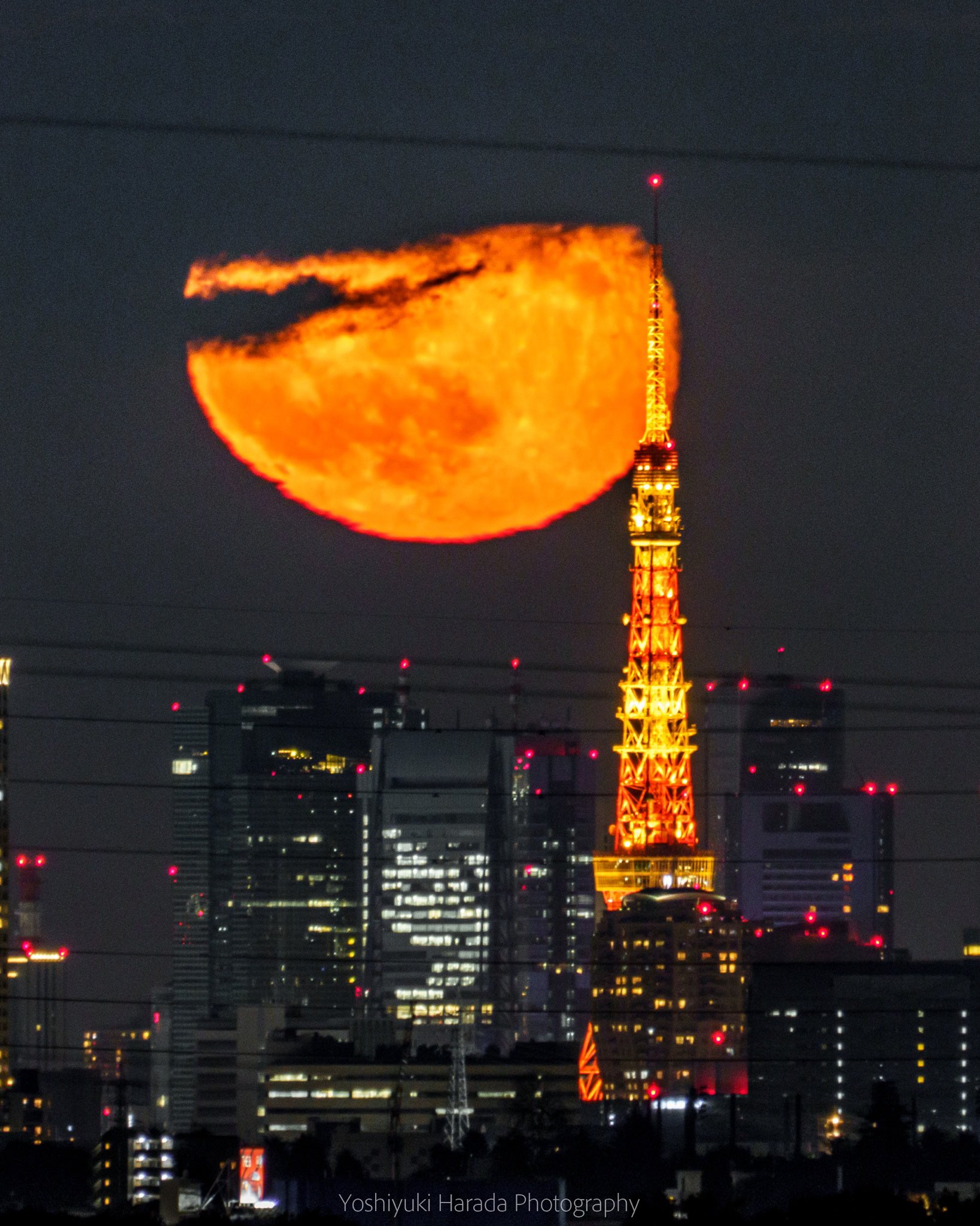 Yoshiyuki Harada ハロウィン仕様東京タワー T Co Dr0gtmsriq Twitter Yoshiyuki Harada ハロウィン仕様東京タワー T Co Dr0gtmsriq Twitter