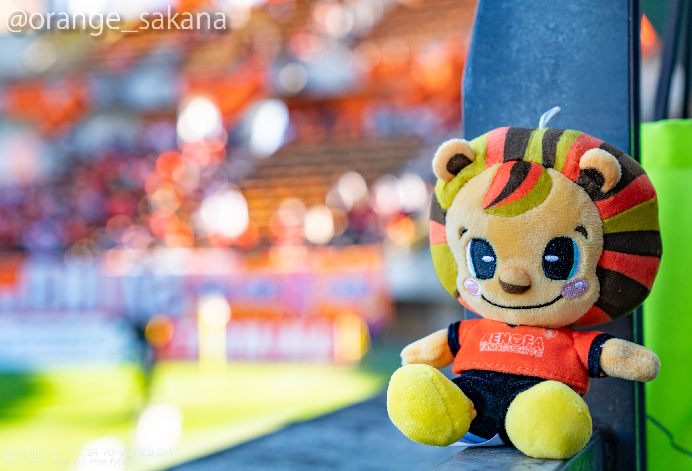 Follow おさかなさん S Orange Sakana Latest Tweets Twitter