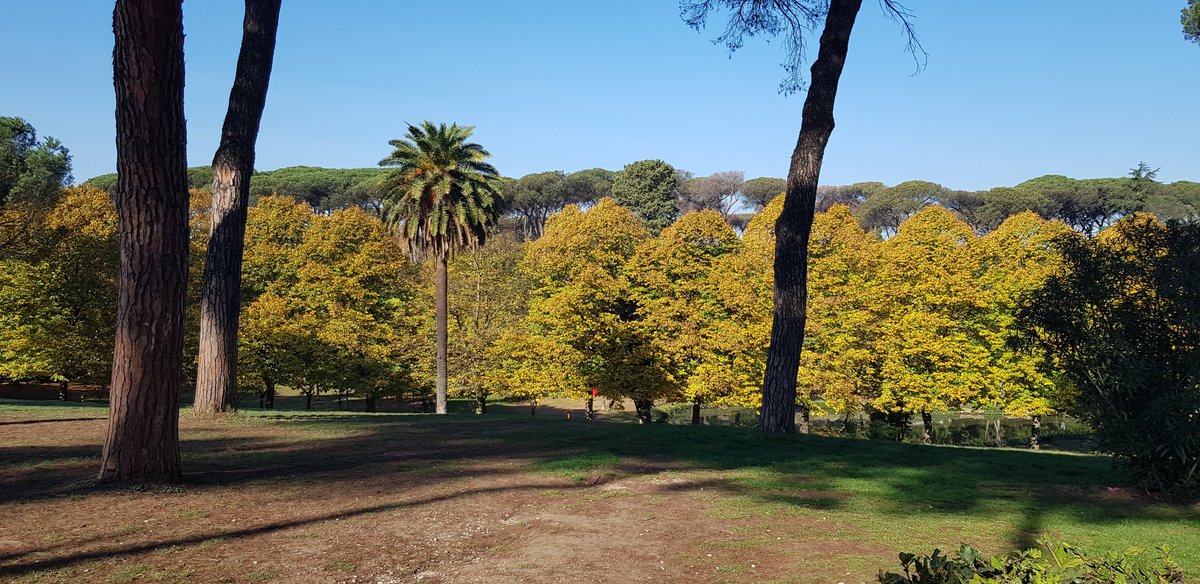 Beautiful autumn day in #Rome today and finally managed to get back to the park 🧡🍂🍁#VillaAda