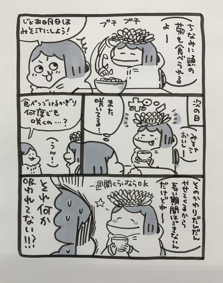 【定休日のお知らせ】
いつもありがとうございます。11月7日は定休日です。月曜日からまた元気にがんばりますので、よろしくお願いいたします♪